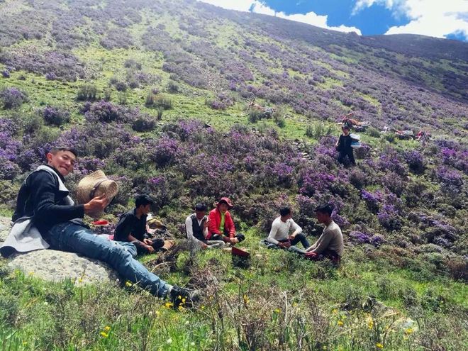 28圈- 燕赵雪豹队鏖战渝州暴熊队,棒球热身赛火力全开,转换速度占优。门前嗅觉决定胜负