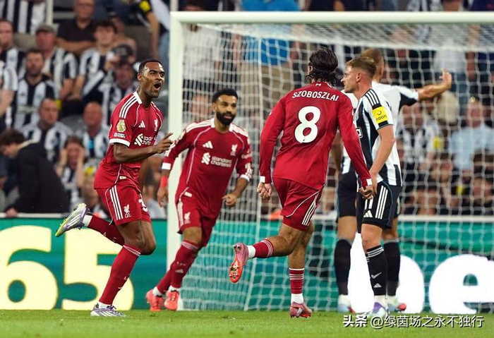 28圈- 篮球赛场再起风云:瓯越鲨队队爆冷天山独角兽队,新援首秀制胜回归即成焦点