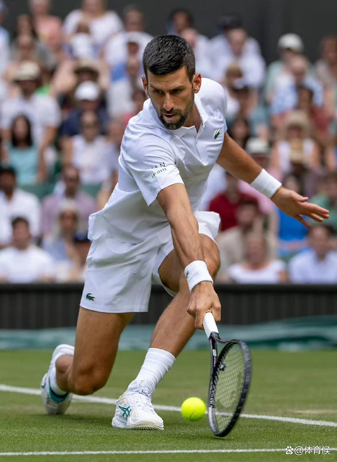 28circle-德约科维奇新星败北表现惊艳，雄鹿未来可期！的简单介绍